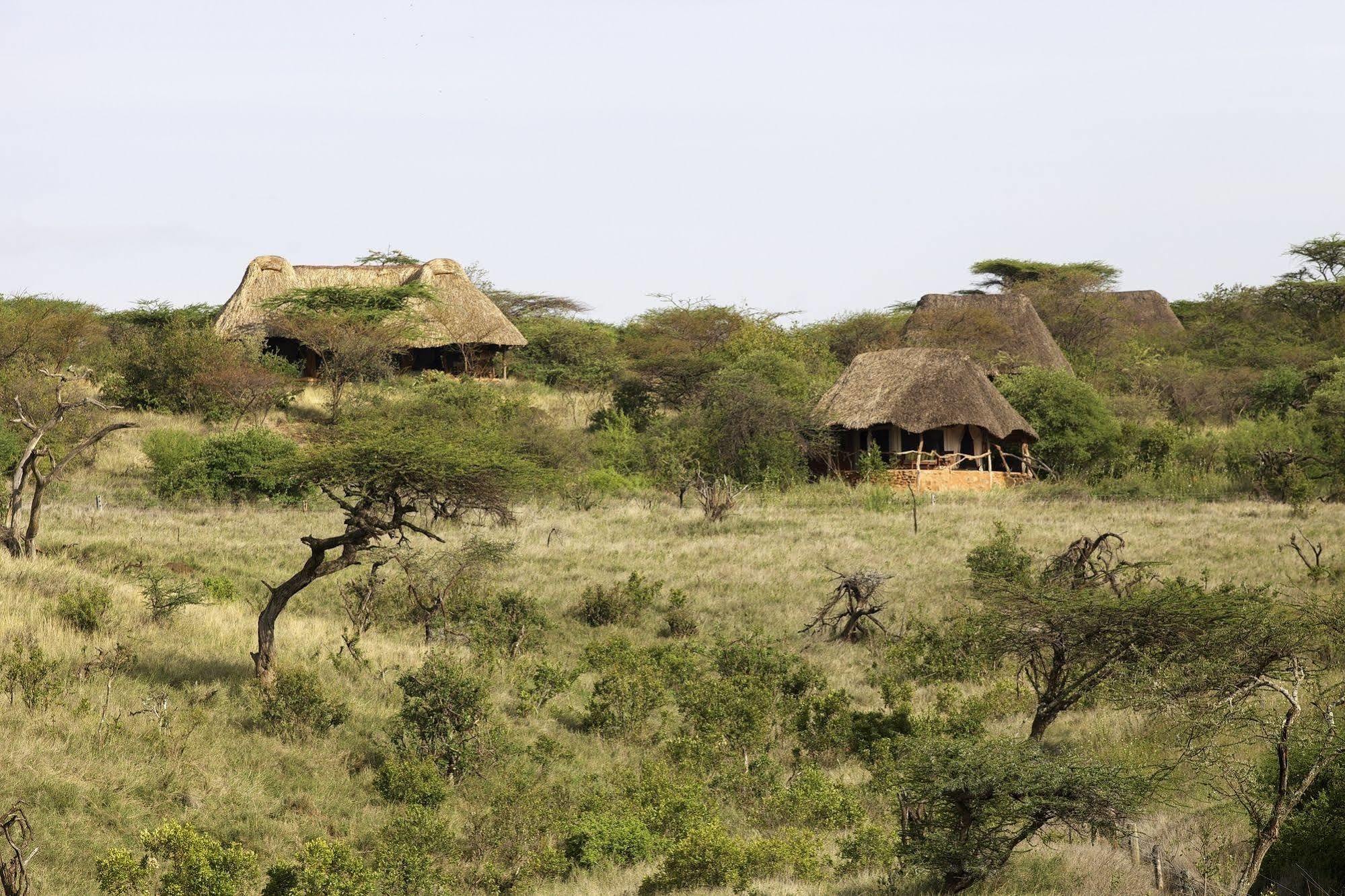 Готель Elewana Lewa Safari Camp Timau Екстер'єр фото
