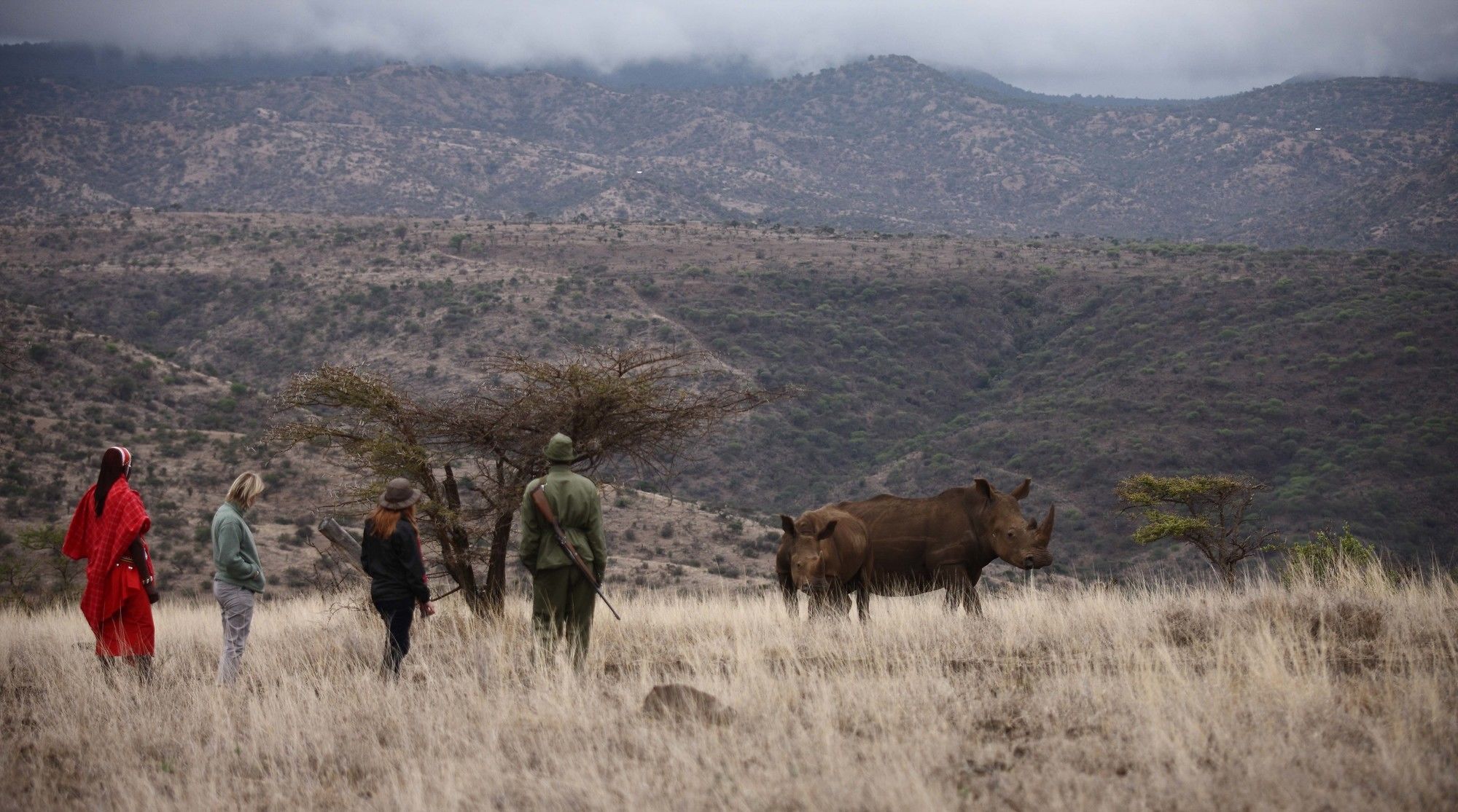 Готель Elewana Lewa Safari Camp Timau Екстер'єр фото